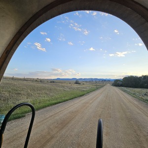 20260719_202025.jpg